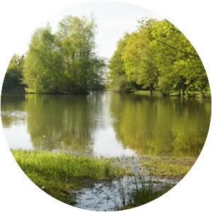 Étang du Petit Bois