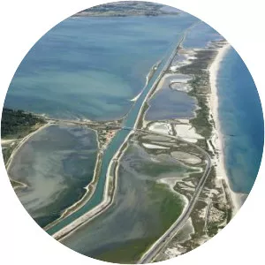 Étangs palavasiens - 