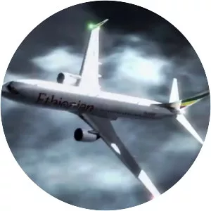 Ethiopian Airlines Flight 409