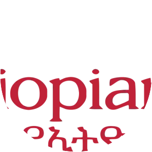 Ethiopian Airlines - Airline in the special wards of Tokyo, Japan