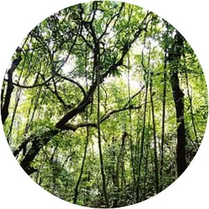 ʻEua - Island in Tonga