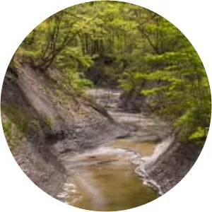 Euclid Creek - Stream in Ohio
