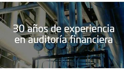 Eudita Ah Auditores 1986, SAP