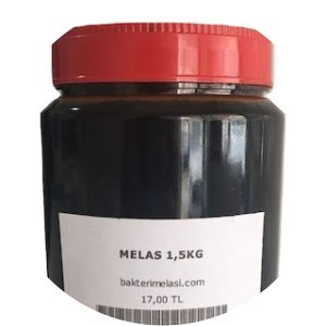 Euphrosyne Mela photograph