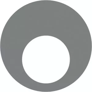 EuroNews Flashback photograph