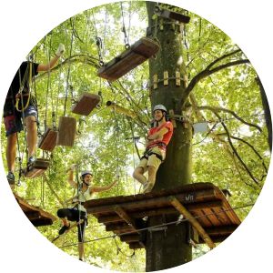 europe's rose garden fun forest abenteuerpark homburg