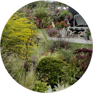 europe's rose garden ogrodowisko ogrody pokazowe