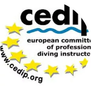 European association of professional . . .