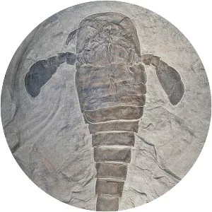 Eurypterid