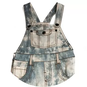 eva kade allovers - Musical band