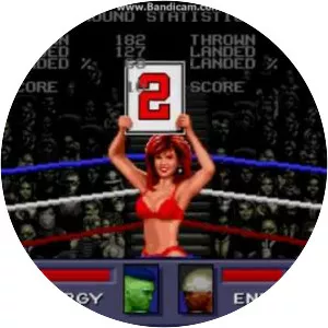 Evander Holyfield's Real Deal Boxing - Video game