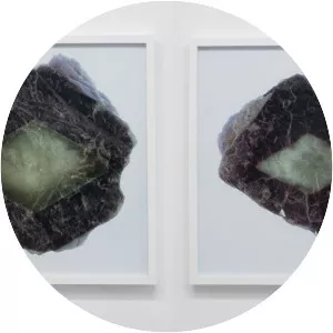 Evariste Richer - French visual artist