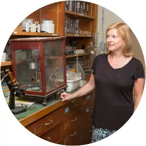 Eve Lazarus - Writer