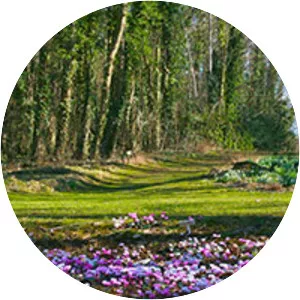Evenley Wood Garden - 