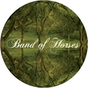 Everything All the Time