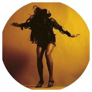 Everything You've Come to Expect - Album by The Last Shadow Puppets