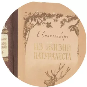 Evgeni Pavlovich Spangenberg