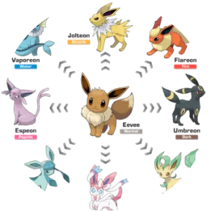 evolutionary line of Eevee - 