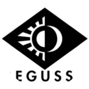 Evonik Degussa - Company