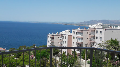 Evrim Sitesi photograph