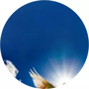 EWTN Mass: The Nativity of John the Baptist - TV program