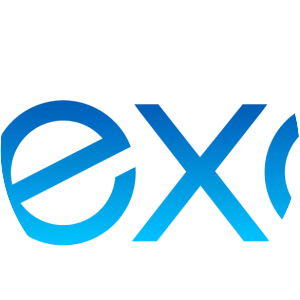Exadel, Inc. - Company
