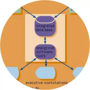 Executive information system - 