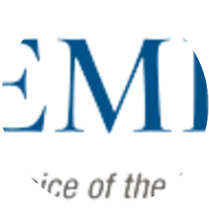 Executive MBA Council