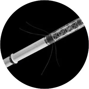 Explorer 1 - Satellite