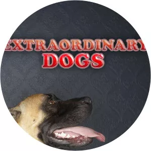 Extraordinary Dogs