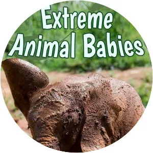 Extreme Animal Babies