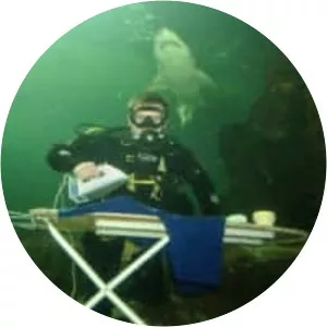 Extreme ironing