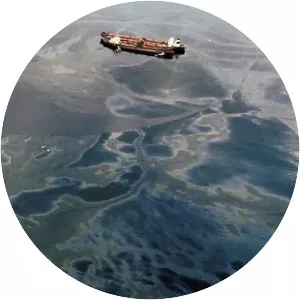 Exxon Valdez oil spill - 