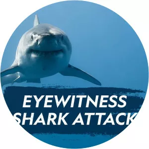 Eyewitness Shark Attack - TV program