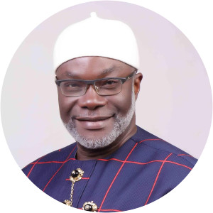 Ezenwa Francis Onyewuchi - Senator of the Federal Republic of Nigeria