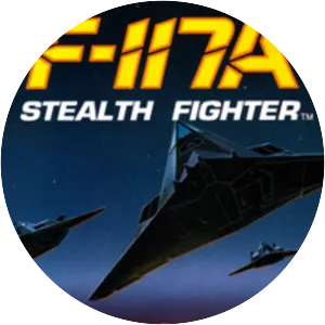 F-117A Stealth Fighter