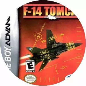 F-14 Tomcat - Video game