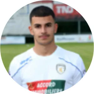 Fabio Cerqueira Martins - Football player