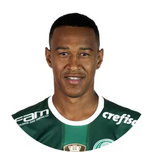 Fabrício dos Santos Silva