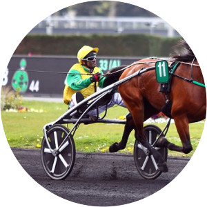 Face Time Bourbon - Horse