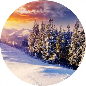 Factor Eight - Musical artist