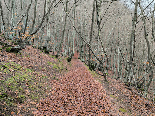 Faedo de Orzonaga - Hiking area in Spain