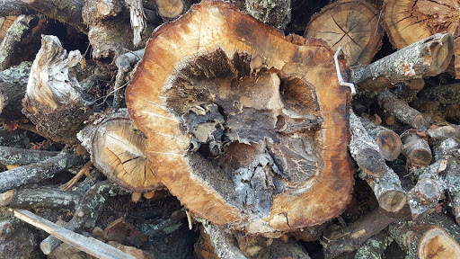 Fair Weekly Joane - Fairground in Joane, Portugal