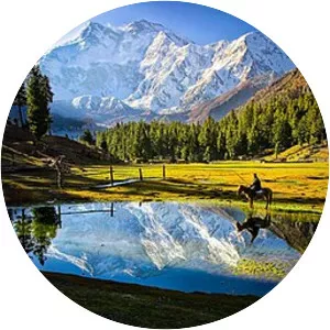 Fairy Meadows