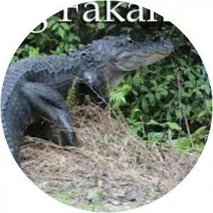 Fakahatchee Strand State Preserve - 