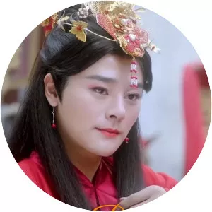 Fake Phoenixes - TV program