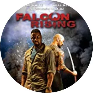 Falcon Rising