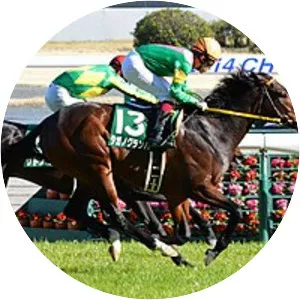 Falcon Stakes - 
