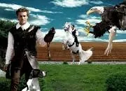 Falconeria Locarno - 