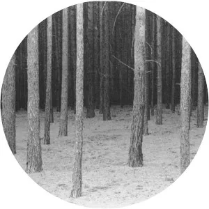 FALK. HABERKORN - Photographer